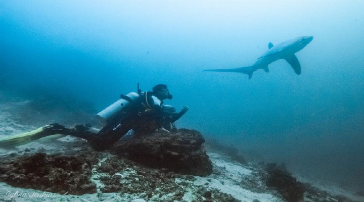 Mal 6 Malapascua Island
