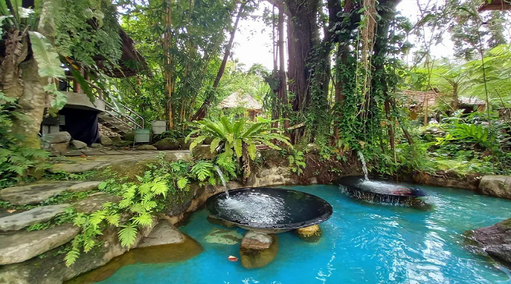 1 Forest Camp Resort