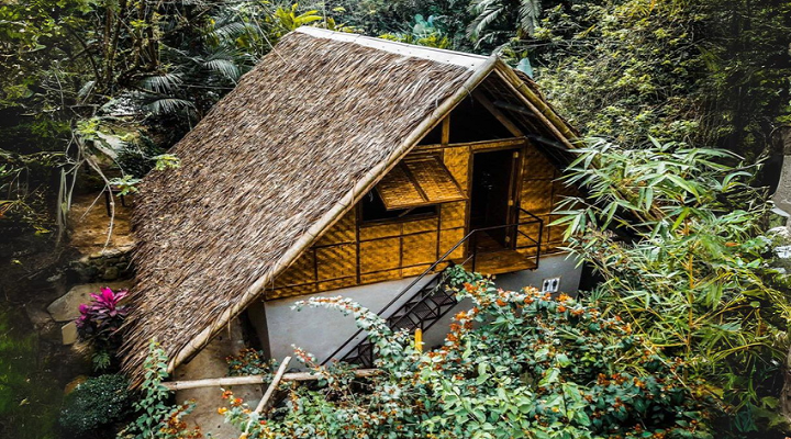 9 Forest Camp Resort